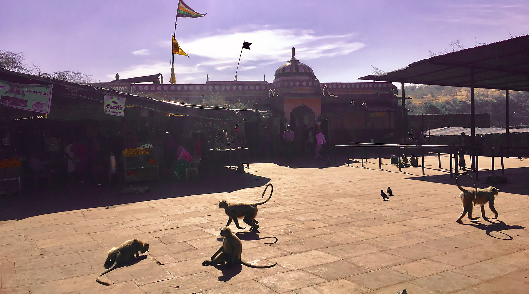 Ranthambore Trinetra Ganesh Temple